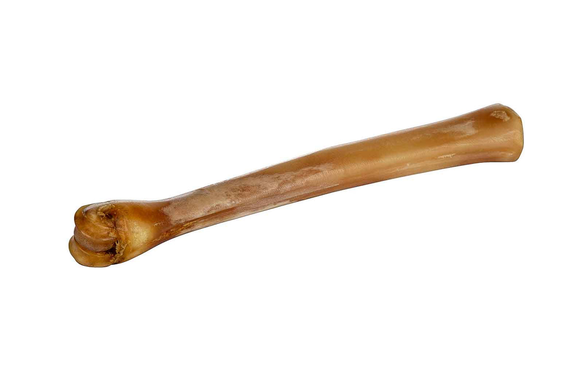 Abbeyhorn-Deer-Polishing-Bone-Side-low_res