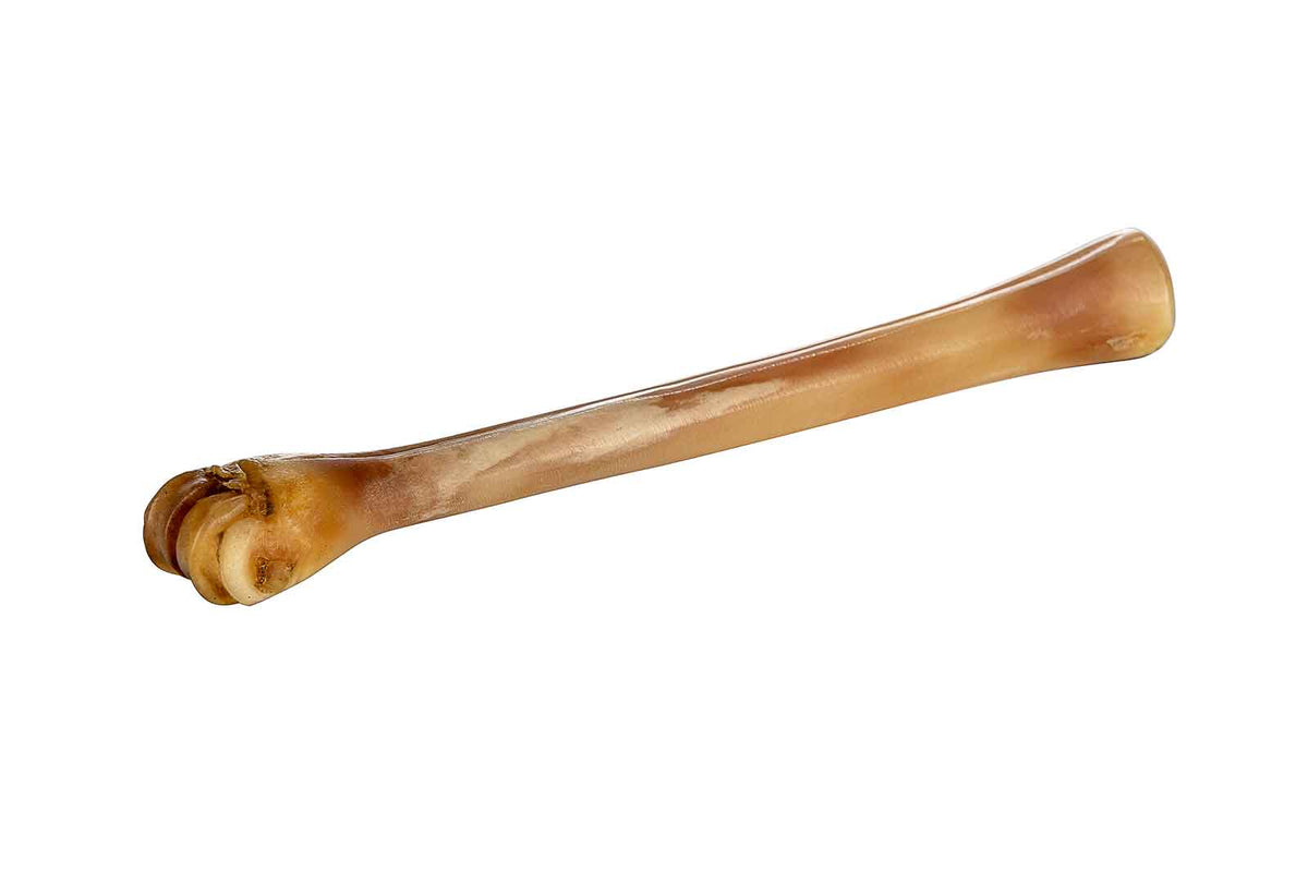 Abbeyhorn-Deer-Polishing-Bone-Standard-low_res